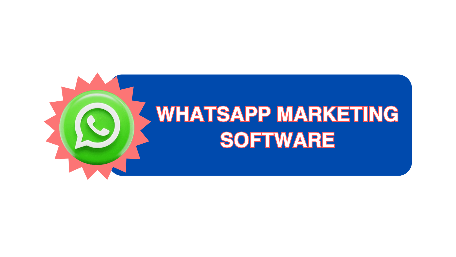 Whatsapp API